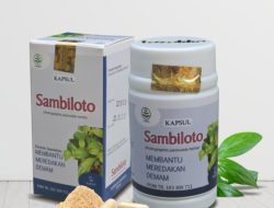 Memahami Variasi Harga Jual Ekstrak Daun Sambiloto Kapsul, Manfaat Kesehatan, dan Panduan Penggunaannya