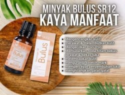 Menelusuri Khasiat Minyak Bulus untuk Luka Bakar: Tinjauan Kesehatan, Nutrisi, dan Penggunaan yang Aman