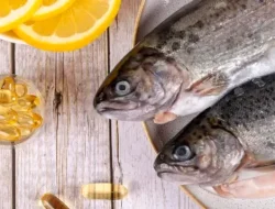 Menelusuri Manfaat Minyak Ikan Paus untuk Kesehatan Tulang dan Sendi