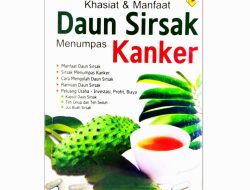 Menelusuri Potensi Herbal: Kenapa Daun Sirsak Dipercaya Membunuh Sel Kanker Secara Natural?