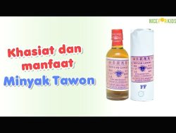 Mengapa Minyak Tawon Populer untuk Bayi? Tinjauan Tradisi, Manfaat, dan Keamanan Medis