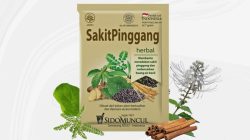Mengenal Manfaat dan Rekomendasi Jamu Pecut Semprit untuk Sakit Pinggang Secara Alami dan Aman