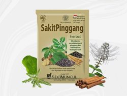 Mengenal Manfaat dan Rekomendasi Jamu Pecut Semprit untuk Sakit Pinggang Secara Alami dan Aman