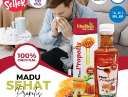 Mengenal Tukak Lambung dan Peran Madu Propolis Asli sebagai Terapi Pendamping