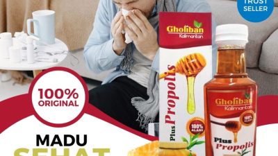 Mengenal Tukak Lambung dan Peran Madu Propolis Asli sebagai Terapi Pendamping