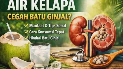Mengungkap Manfaat Air Kelapa Muda untuk Detoks Ginjal secara Alami