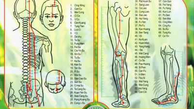 Panduan Kesehatan: Memahami Efek Samping, Keamanan, dan Perbedaan Terapi Tradisional