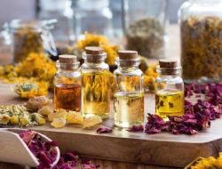 Panduan Lengkap: Cara Membuat Minyak Urut Tradisional dari Rempah Secara Natural dan Manfaat Kesehatan Bagi Tubuh