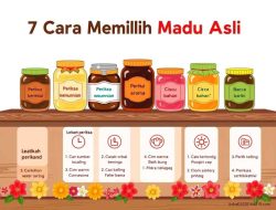 Panduan Lengkap Kesehatan: Bagaimana Cara Memilih Madu Hutan Asli yang Cerdas dan Aman