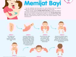 Panduan Lengkap Kesehatan Pencernaan: Bagaimana Cara Memijat Bayi Agar Cepat BAB dengan Aman dan Efektif