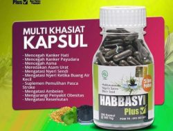 Panduan Lengkap Manfaat Habbatussauda dan Pentingnya Memilih Kapsul yang Terdaftar BPOM