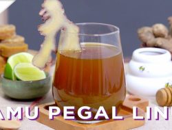 Panduan Lengkap Meracik Jamu Daun Pepaya untuk Meredakan Pegal Linu Secara Alami