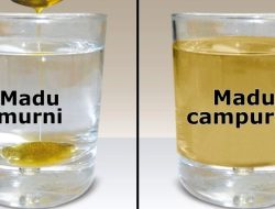 Panduan Lengkap Panduan Membedakan Madu Murni dan Madu Campuran Gula untuk Kesehatan