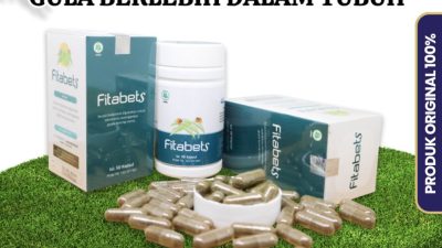 Panduan Lengkap Pengelolaan Diabetes dan Peran Suplemen Herbal secara Aman