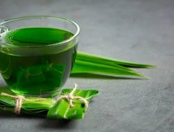 Panduan Lengkap Pengelolaan Hipertensi: Cara Meracik Ramuan Daun Pandan untuk Menjaga Tekanan Darah Alami