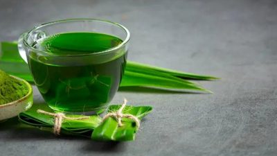 Panduan Lengkap Pengelolaan Hipertensi: Cara Meracik Ramuan Daun Pandan untuk Menjaga Tekanan Darah Alami